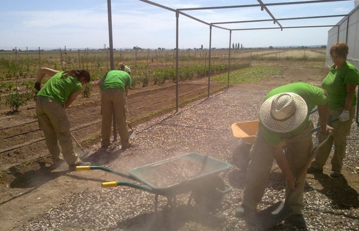 taller jardineria 1