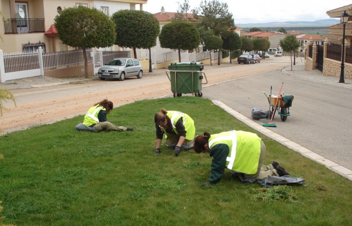 taller jardineria 14