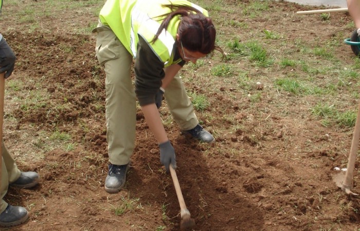 taller jardineria 17