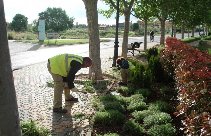 taller jardineria 27