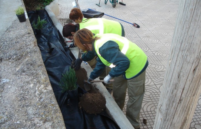 taller jardineria 35