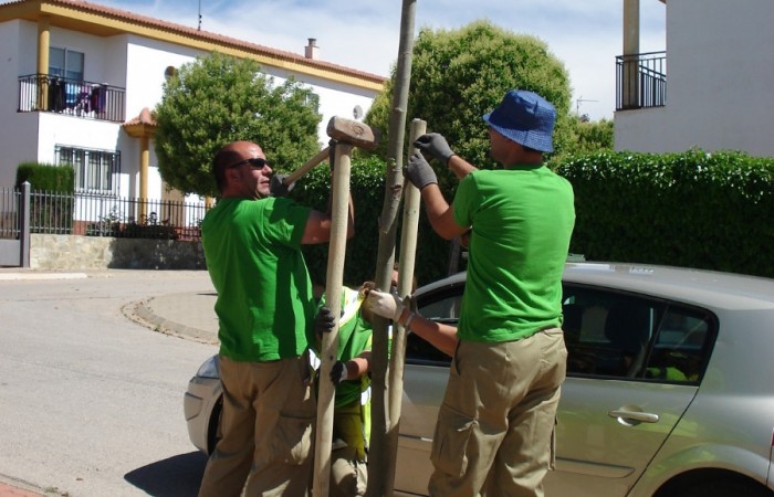 taller jardineria 36