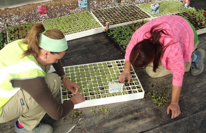 taller jardineria 37