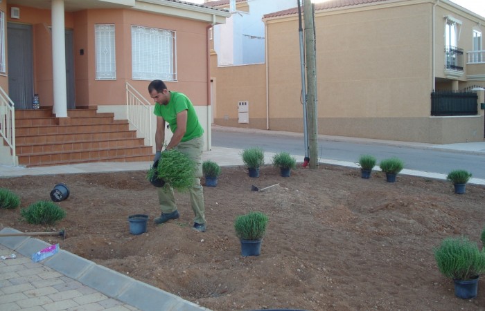 taller jardineria 39