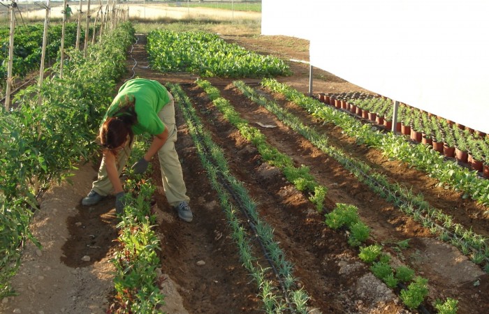 taller jardineria 45