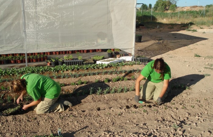 taller jardineria 46