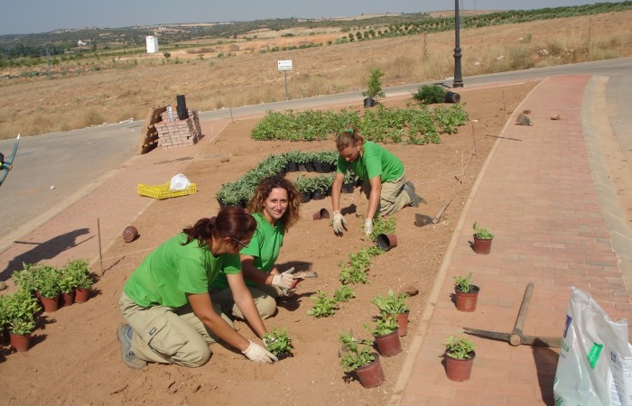 taller jardineria 49